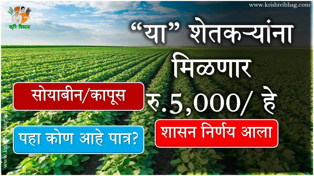 Soyabin Cotton Subsidy